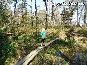 [P14] la pas prin jungla » foto by buterfly*
 - 
<span class="allrVoted glyphicon glyphicon-heart hidden" id="av511038"></span>
<a class="m-l-10 hidden" id="sv511038" onclick="voting_Foto_DelVot(,511038,11367)" role="button">șterge vot <span class="glyphicon glyphicon-remove"></span></a>
<a id="v9511038" class=" c-red"  onclick="voting_Foto_SetVot(511038)" role="button"><span class="glyphicon glyphicon-heart-empty"></span> <b>LIKE</b> = Votează poza</a> <img class="hidden"  id="f511038W9" src="/imagini/loader.gif" border="0" /><span class="AjErrMes hidden" id="e511038ErM"></span>