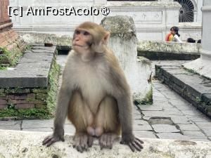 [P19]  -- <small>// FĂRĂ DESCRIERE</small> » foto by Mika
 - 
<span class="allrVoted glyphicon glyphicon-heart hidden" id="av1504131"></span>
<a class="m-l-10 hidden" id="sv1504131" onclick="voting_Foto_DelVot(,1504131,11367)" role="button">șterge vot <span class="glyphicon glyphicon-remove"></span></a>
<a id="v91504131" class=" c-red"  onclick="voting_Foto_SetVot(1504131)" role="button"><span class="glyphicon glyphicon-heart-empty"></span> <b>LIKE</b> = Votează poza</a> <img class="hidden"  id="f1504131W9" src="/imagini/loader.gif" border="0" /><span class="AjErrMes hidden" id="e1504131ErM"></span>