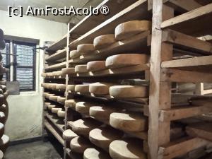 [P50] Ferma de brânză de nak » foto by Mika
 - 
<span class="allrVoted glyphicon glyphicon-heart hidden" id="av1506034"></span>
<a class="m-l-10 hidden" id="sv1506034" onclick="voting_Foto_DelVot(,1506034,11367)" role="button">șterge vot <span class="glyphicon glyphicon-remove"></span></a>
<a id="v91506034" class=" c-red"  onclick="voting_Foto_SetVot(1506034)" role="button"><span class="glyphicon glyphicon-heart-empty"></span> <b>LIKE</b> = Votează poza</a> <img class="hidden"  id="f1506034W9" src="/imagini/loader.gif" border="0" /><span class="AjErrMes hidden" id="e1506034ErM"></span>