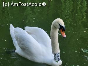 [P50] Eleganță - May 2023 » foto by k-lator
 - 
<span class="allrVoted glyphicon glyphicon-heart hidden" id="av1366239"></span>
<a class="m-l-10 hidden" id="sv1366239" onclick="voting_Foto_DelVot(,1366239,11447)" role="button">șterge vot <span class="glyphicon glyphicon-remove"></span></a>
<a id="v91366239" class=" c-red"  onclick="voting_Foto_SetVot(1366239)" role="button"><span class="glyphicon glyphicon-heart-empty"></span> <b>LIKE</b> = Votează poza</a> <img class="hidden"  id="f1366239W9" src="/imagini/loader.gif" border="0" /><span class="AjErrMes hidden" id="e1366239ErM"></span>