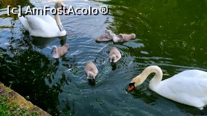 [P52] O familie fericită! » foto by k-lator
 - 
<span class="allrVoted glyphicon glyphicon-heart hidden" id="av1366241"></span>
<a class="m-l-10 hidden" id="sv1366241" onclick="voting_Foto_DelVot(,1366241,11447)" role="button">șterge vot <span class="glyphicon glyphicon-remove"></span></a>
<a id="v91366241" class=" c-red"  onclick="voting_Foto_SetVot(1366241)" role="button"><span class="glyphicon glyphicon-heart-empty"></span> <b>LIKE</b> = Votează poza</a> <img class="hidden"  id="f1366241W9" src="/imagini/loader.gif" border="0" /><span class="AjErrMes hidden" id="e1366241ErM"></span>