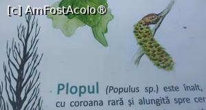 [P16] Parcul Sticlăriei, București » foto by Mioritik
 - 
<span class="allrVoted glyphicon glyphicon-heart hidden" id="av1399982"></span>
<a class="m-l-10 hidden" id="sv1399982" onclick="voting_Foto_DelVot(,1399982,11447)" role="button">șterge vot <span class="glyphicon glyphicon-remove"></span></a>
<a id="v91399982" class=" c-red"  onclick="voting_Foto_SetVot(1399982)" role="button"><span class="glyphicon glyphicon-heart-empty"></span> <b>LIKE</b> = Votează poza</a> <img class="hidden"  id="f1399982W9" src="/imagini/loader.gif" border="0" /><span class="AjErrMes hidden" id="e1399982ErM"></span>