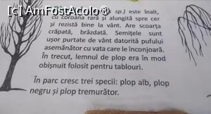 [P23] Parcul Sticlăriei, București » foto by Mioritik
 - 
<span class="allrVoted glyphicon glyphicon-heart hidden" id="av1399989"></span>
<a class="m-l-10 hidden" id="sv1399989" onclick="voting_Foto_DelVot(,1399989,11447)" role="button">șterge vot <span class="glyphicon glyphicon-remove"></span></a>
<a id="v91399989" class=" c-red"  onclick="voting_Foto_SetVot(1399989)" role="button"><span class="glyphicon glyphicon-heart-empty"></span> <b>LIKE</b> = Votează poza</a> <img class="hidden"  id="f1399989W9" src="/imagini/loader.gif" border="0" /><span class="AjErrMes hidden" id="e1399989ErM"></span>