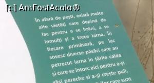[P33] Parcul Sticlăriei, București » foto by Mioritik
 - 
<span class="allrVoted glyphicon glyphicon-heart hidden" id="av1399999"></span>
<a class="m-l-10 hidden" id="sv1399999" onclick="voting_Foto_DelVot(,1399999,11447)" role="button">șterge vot <span class="glyphicon glyphicon-remove"></span></a>
<a id="v91399999" class=" c-red"  onclick="voting_Foto_SetVot(1399999)" role="button"><span class="glyphicon glyphicon-heart-empty"></span> <b>LIKE</b> = Votează poza</a> <img class="hidden"  id="f1399999W9" src="/imagini/loader.gif" border="0" /><span class="AjErrMes hidden" id="e1399999ErM"></span>
