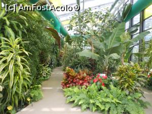 [P31] Parcul "Drumul Taberei" - În seră. » foto by iulianic
 - 
<span class="allrVoted glyphicon glyphicon-heart hidden" id="av1311443"></span>
<a class="m-l-10 hidden" id="sv1311443" onclick="voting_Foto_DelVot(,1311443,11447)" role="button">șterge vot <span class="glyphicon glyphicon-remove"></span></a>
<a id="v91311443" class=" c-red"  onclick="voting_Foto_SetVot(1311443)" role="button"><span class="glyphicon glyphicon-heart-empty"></span> <b>LIKE</b> = Votează poza</a> <img class="hidden"  id="f1311443W9" src="/imagini/loader.gif" border="0" /><span class="AjErrMes hidden" id="e1311443ErM"></span>