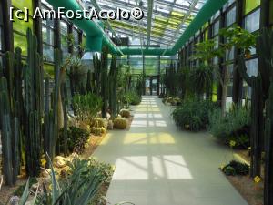 [P37] Parcul "Drumul Taberei" - În seră. » foto by iulianic
 - 
<span class="allrVoted glyphicon glyphicon-heart hidden" id="av1311449"></span>
<a class="m-l-10 hidden" id="sv1311449" onclick="voting_Foto_DelVot(,1311449,11447)" role="button">șterge vot <span class="glyphicon glyphicon-remove"></span></a>
<a id="v91311449" class=" c-red"  onclick="voting_Foto_SetVot(1311449)" role="button"><span class="glyphicon glyphicon-heart-empty"></span> <b>LIKE</b> = Votează poza</a> <img class="hidden"  id="f1311449W9" src="/imagini/loader.gif" border="0" /><span class="AjErrMes hidden" id="e1311449ErM"></span>