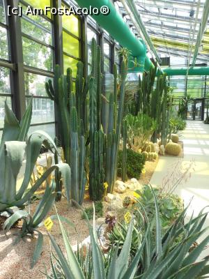 [P38] Parcul "Drumul Taberei" - În seră. » foto by iulianic
 - 
<span class="allrVoted glyphicon glyphicon-heart hidden" id="av1311450"></span>
<a class="m-l-10 hidden" id="sv1311450" onclick="voting_Foto_DelVot(,1311450,11447)" role="button">șterge vot <span class="glyphicon glyphicon-remove"></span></a>
<a id="v91311450" class=" c-red"  onclick="voting_Foto_SetVot(1311450)" role="button"><span class="glyphicon glyphicon-heart-empty"></span> <b>LIKE</b> = Votează poza</a> <img class="hidden"  id="f1311450W9" src="/imagini/loader.gif" border="0" /><span class="AjErrMes hidden" id="e1311450ErM"></span>