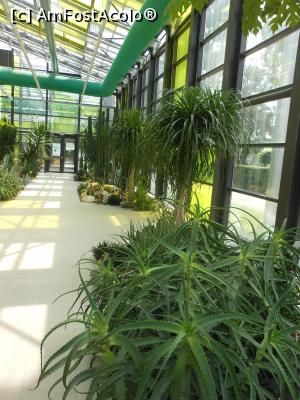 [P39] Parcul "Drumul Taberei" - În seră. » foto by iulianic
 - 
<span class="allrVoted glyphicon glyphicon-heart hidden" id="av1311451"></span>
<a class="m-l-10 hidden" id="sv1311451" onclick="voting_Foto_DelVot(,1311451,11447)" role="button">șterge vot <span class="glyphicon glyphicon-remove"></span></a>
<a id="v91311451" class=" c-red"  onclick="voting_Foto_SetVot(1311451)" role="button"><span class="glyphicon glyphicon-heart-empty"></span> <b>LIKE</b> = Votează poza</a> <img class="hidden"  id="f1311451W9" src="/imagini/loader.gif" border="0" /><span class="AjErrMes hidden" id="e1311451ErM"></span>