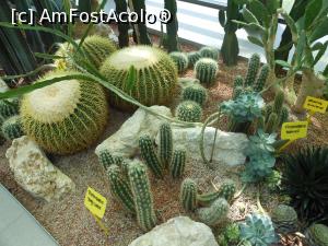 [P41] Parcul "Drumul Taberei" - În seră. » foto by iulianic
 - 
<span class="allrVoted glyphicon glyphicon-heart hidden" id="av1311453"></span>
<a class="m-l-10 hidden" id="sv1311453" onclick="voting_Foto_DelVot(,1311453,11447)" role="button">șterge vot <span class="glyphicon glyphicon-remove"></span></a>
<a id="v91311453" class=" c-red"  onclick="voting_Foto_SetVot(1311453)" role="button"><span class="glyphicon glyphicon-heart-empty"></span> <b>LIKE</b> = Votează poza</a> <img class="hidden"  id="f1311453W9" src="/imagini/loader.gif" border="0" /><span class="AjErrMes hidden" id="e1311453ErM"></span>