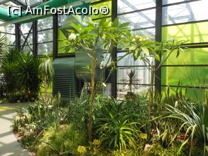 [P42] Parcul "Drumul Taberei" - În seră. » foto by iulianic
 - 
<span class="allrVoted glyphicon glyphicon-heart hidden" id="av1311454"></span>
<a class="m-l-10 hidden" id="sv1311454" onclick="voting_Foto_DelVot(,1311454,11447)" role="button">șterge vot <span class="glyphicon glyphicon-remove"></span></a>
<a id="v91311454" class=" c-red"  onclick="voting_Foto_SetVot(1311454)" role="button"><span class="glyphicon glyphicon-heart-empty"></span> <b>LIKE</b> = Votează poza</a> <img class="hidden"  id="f1311454W9" src="/imagini/loader.gif" border="0" /><span class="AjErrMes hidden" id="e1311454ErM"></span>