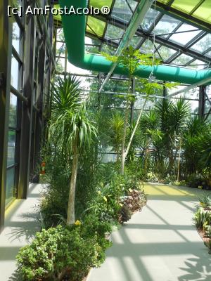 [P43] Parcul "Drumul Taberei" - În seră. » foto by iulianic
 - 
<span class="allrVoted glyphicon glyphicon-heart hidden" id="av1311455"></span>
<a class="m-l-10 hidden" id="sv1311455" onclick="voting_Foto_DelVot(,1311455,11447)" role="button">șterge vot <span class="glyphicon glyphicon-remove"></span></a>
<a id="v91311455" class=" c-red"  onclick="voting_Foto_SetVot(1311455)" role="button"><span class="glyphicon glyphicon-heart-empty"></span> <b>LIKE</b> = Votează poza</a> <img class="hidden"  id="f1311455W9" src="/imagini/loader.gif" border="0" /><span class="AjErrMes hidden" id="e1311455ErM"></span>