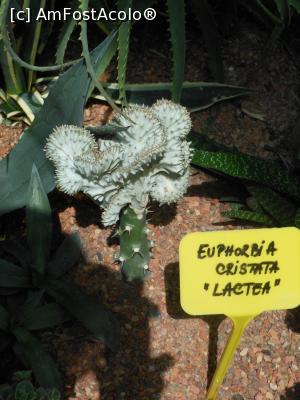 [P45] Parcul "Drumul Taberei" - În seră. » foto by iulianic
 - 
<span class="allrVoted glyphicon glyphicon-heart hidden" id="av1311457"></span>
<a class="m-l-10 hidden" id="sv1311457" onclick="voting_Foto_DelVot(,1311457,11447)" role="button">șterge vot <span class="glyphicon glyphicon-remove"></span></a>
<a id="v91311457" class=" c-red"  onclick="voting_Foto_SetVot(1311457)" role="button"><span class="glyphicon glyphicon-heart-empty"></span> <b>LIKE</b> = Votează poza</a> <img class="hidden"  id="f1311457W9" src="/imagini/loader.gif" border="0" /><span class="AjErrMes hidden" id="e1311457ErM"></span>