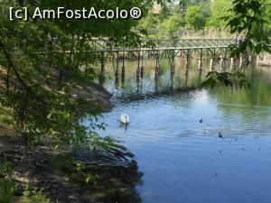 [P50] București - Parcul Sticlăriei. » foto by iulianic
 - 
<span class="allrVoted glyphicon glyphicon-heart hidden" id="av1362102"></span>
<a class="m-l-10 hidden" id="sv1362102" onclick="voting_Foto_DelVot(,1362102,11447)" role="button">șterge vot <span class="glyphicon glyphicon-remove"></span></a>
<a id="v91362102" class=" c-red"  onclick="voting_Foto_SetVot(1362102)" role="button"><span class="glyphicon glyphicon-heart-empty"></span> <b>LIKE</b> = Votează poza</a> <img class="hidden"  id="f1362102W9" src="/imagini/loader.gif" border="0" /><span class="AjErrMes hidden" id="e1362102ErM"></span>