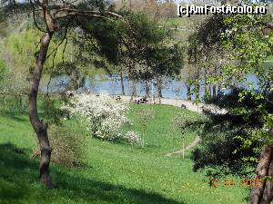[P01] Parcul Tineretului - Primăvara în zona lacului Cocioc.  » foto by iulianic
 - 
<span class="allrVoted glyphicon glyphicon-heart hidden" id="av608624"></span>
<a class="m-l-10 hidden" id="sv608624" onclick="voting_Foto_DelVot(,608624,11447)" role="button">șterge vot <span class="glyphicon glyphicon-remove"></span></a>
<a id="v9608624" class=" c-red"  onclick="voting_Foto_SetVot(608624)" role="button"><span class="glyphicon glyphicon-heart-empty"></span> <b>LIKE</b> = Votează poza</a> <img class="hidden"  id="f608624W9" src="/imagini/loader.gif" border="0" /><span class="AjErrMes hidden" id="e608624ErM"></span>
