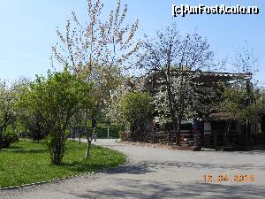 [P22] Parcul Tineretului - Pe alei.  » foto by iulianic
 - 
<span class="allrVoted glyphicon glyphicon-heart hidden" id="av608646"></span>
<a class="m-l-10 hidden" id="sv608646" onclick="voting_Foto_DelVot(,608646,11447)" role="button">șterge vot <span class="glyphicon glyphicon-remove"></span></a>
<a id="v9608646" class=" c-red"  onclick="voting_Foto_SetVot(608646)" role="button"><span class="glyphicon glyphicon-heart-empty"></span> <b>LIKE</b> = Votează poza</a> <img class="hidden"  id="f608646W9" src="/imagini/loader.gif" border="0" /><span class="AjErrMes hidden" id="e608646ErM"></span>