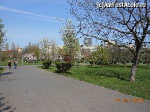 [P33] Parcul Tineretului - Pe alei.  » foto by iulianic
 - 
<span class="allrVoted glyphicon glyphicon-heart hidden" id="av608659"></span>
<a class="m-l-10 hidden" id="sv608659" onclick="voting_Foto_DelVot(,608659,11447)" role="button">șterge vot <span class="glyphicon glyphicon-remove"></span></a>
<a id="v9608659" class=" c-red"  onclick="voting_Foto_SetVot(608659)" role="button"><span class="glyphicon glyphicon-heart-empty"></span> <b>LIKE</b> = Votează poza</a> <img class="hidden"  id="f608659W9" src="/imagini/loader.gif" border="0" /><span class="AjErrMes hidden" id="e608659ErM"></span>