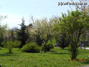 [P04] Parcul Tineretului - Primăvara, în zona de lângă bulevard.  » foto by iulianic
 - 
<span class="allrVoted glyphicon glyphicon-heart hidden" id="av608627"></span>
<a class="m-l-10 hidden" id="sv608627" onclick="voting_Foto_DelVot(,608627,11447)" role="button">șterge vot <span class="glyphicon glyphicon-remove"></span></a>
<a id="v9608627" class=" c-red"  onclick="voting_Foto_SetVot(608627)" role="button"><span class="glyphicon glyphicon-heart-empty"></span> <b>LIKE</b> = Votează poza</a> <img class="hidden"  id="f608627W9" src="/imagini/loader.gif" border="0" /><span class="AjErrMes hidden" id="e608627ErM"></span>