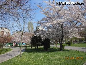 [P06] Parcul Tineretului - Primăvara, în zona de lângă bulevard.  » foto by iulianic
 - 
<span class="allrVoted glyphicon glyphicon-heart hidden" id="av608629"></span>
<a class="m-l-10 hidden" id="sv608629" onclick="voting_Foto_DelVot(,608629,11447)" role="button">șterge vot <span class="glyphicon glyphicon-remove"></span></a>
<a id="v9608629" class=" c-red"  onclick="voting_Foto_SetVot(608629)" role="button"><span class="glyphicon glyphicon-heart-empty"></span> <b>LIKE</b> = Votează poza</a> <img class="hidden"  id="f608629W9" src="/imagini/loader.gif" border="0" /><span class="AjErrMes hidden" id="e608629ErM"></span>