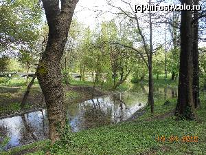 [P30] Parcul Carol I - Primăvara în parc.  » foto by iulianic
 - 
<span class="allrVoted glyphicon glyphicon-heart hidden" id="av610879"></span>
<a class="m-l-10 hidden" id="sv610879" onclick="voting_Foto_DelVot(,610879,11447)" role="button">șterge vot <span class="glyphicon glyphicon-remove"></span></a>
<a id="v9610879" class=" c-red"  onclick="voting_Foto_SetVot(610879)" role="button"><span class="glyphicon glyphicon-heart-empty"></span> <b>LIKE</b> = Votează poza</a> <img class="hidden"  id="f610879W9" src="/imagini/loader.gif" border="0" /><span class="AjErrMes hidden" id="e610879ErM"></span>