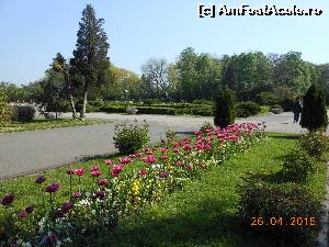 [P07] Bucureşti - Parcul Herăstrău. Frumoasele lalele care colorează parcul.  » foto by iulianic
 - 
<span class="allrVoted glyphicon glyphicon-heart hidden" id="av612841"></span>
<a class="m-l-10 hidden" id="sv612841" onclick="voting_Foto_DelVot(,612841,11447)" role="button">șterge vot <span class="glyphicon glyphicon-remove"></span></a>
<a id="v9612841" class=" c-red"  onclick="voting_Foto_SetVot(612841)" role="button"><span class="glyphicon glyphicon-heart-empty"></span> <b>LIKE</b> = Votează poza</a> <img class="hidden"  id="f612841W9" src="/imagini/loader.gif" border="0" /><span class="AjErrMes hidden" id="e612841ErM"></span>