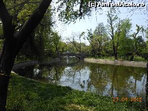[P01] Bucureşti - Parcul Cişmigiu. Podul Mare arcuit pentru a înlesni trecerea bărcilor.  » foto by iulianic
 - 
<span class="allrVoted glyphicon glyphicon-heart hidden" id="av613662"></span>
<a class="m-l-10 hidden" id="sv613662" onclick="voting_Foto_DelVot(,613662,11447)" role="button">șterge vot <span class="glyphicon glyphicon-remove"></span></a>
<a id="v9613662" class=" c-red"  onclick="voting_Foto_SetVot(613662)" role="button"><span class="glyphicon glyphicon-heart-empty"></span> <b>LIKE</b> = Votează poza</a> <img class="hidden"  id="f613662W9" src="/imagini/loader.gif" border="0" /><span class="AjErrMes hidden" id="e613662ErM"></span>