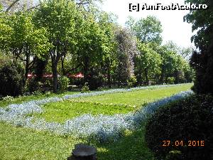 [P18] Bucureşti - Parcul Cişmigiu. Covorul verde din centrul capitalei.  » foto by iulianic
 - 
<span class="allrVoted glyphicon glyphicon-heart hidden" id="av613692"></span>
<a class="m-l-10 hidden" id="sv613692" onclick="voting_Foto_DelVot(,613692,11447)" role="button">șterge vot <span class="glyphicon glyphicon-remove"></span></a>
<a id="v9613692" class=" c-red"  onclick="voting_Foto_SetVot(613692)" role="button"><span class="glyphicon glyphicon-heart-empty"></span> <b>LIKE</b> = Votează poza</a> <img class="hidden"  id="f613692W9" src="/imagini/loader.gif" border="0" /><span class="AjErrMes hidden" id="e613692ErM"></span>