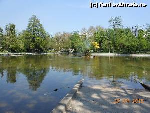 [P19] Bucureşti - Parcul Cişmigiu. Fântâna arteziană şi Podul Mare văzute de la debarcader.  » foto by iulianic
 - 
<span class="allrVoted glyphicon glyphicon-heart hidden" id="av613693"></span>
<a class="m-l-10 hidden" id="sv613693" onclick="voting_Foto_DelVot(,613693,11447)" role="button">șterge vot <span class="glyphicon glyphicon-remove"></span></a>
<a id="v9613693" class=" c-red"  onclick="voting_Foto_SetVot(613693)" role="button"><span class="glyphicon glyphicon-heart-empty"></span> <b>LIKE</b> = Votează poza</a> <img class="hidden"  id="f613693W9" src="/imagini/loader.gif" border="0" /><span class="AjErrMes hidden" id="e613693ErM"></span>