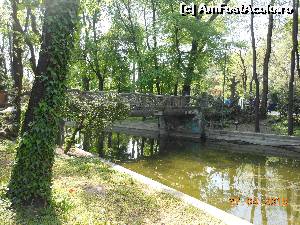 [P02] Bucureşti - Parcul Cişmigiu. Podul de Nuc, frumos încadrat în peisaj.  » foto by iulianic
 - 
<span class="allrVoted glyphicon glyphicon-heart hidden" id="av613663"></span>
<a class="m-l-10 hidden" id="sv613663" onclick="voting_Foto_DelVot(,613663,11447)" role="button">șterge vot <span class="glyphicon glyphicon-remove"></span></a>
<a id="v9613663" class=" c-red"  onclick="voting_Foto_SetVot(613663)" role="button"><span class="glyphicon glyphicon-heart-empty"></span> <b>LIKE</b> = Votează poza</a> <img class="hidden"  id="f613663W9" src="/imagini/loader.gif" border="0" /><span class="AjErrMes hidden" id="e613663ErM"></span>