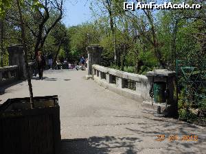 [P20] Bucureşti - Parcul Cişmigiu. Circulaţie pietonală pe Podul Mare.  » foto by iulianic
 - 
<span class="allrVoted glyphicon glyphicon-heart hidden" id="av613694"></span>
<a class="m-l-10 hidden" id="sv613694" onclick="voting_Foto_DelVot(,613694,11447)" role="button">șterge vot <span class="glyphicon glyphicon-remove"></span></a>
<a id="v9613694" class=" c-red"  onclick="voting_Foto_SetVot(613694)" role="button"><span class="glyphicon glyphicon-heart-empty"></span> <b>LIKE</b> = Votează poza</a> <img class="hidden"  id="f613694W9" src="/imagini/loader.gif" border="0" /><span class="AjErrMes hidden" id="e613694ErM"></span>