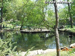 [P23] Bucureşti - Parcul Cişmigiu. Lacul Lebedelor.  » foto by iulianic
 - 
<span class="allrVoted glyphicon glyphicon-heart hidden" id="av613699"></span>
<a class="m-l-10 hidden" id="sv613699" onclick="voting_Foto_DelVot(,613699,11447)" role="button">șterge vot <span class="glyphicon glyphicon-remove"></span></a>
<a id="v9613699" class=" c-red"  onclick="voting_Foto_SetVot(613699)" role="button"><span class="glyphicon glyphicon-heart-empty"></span> <b>LIKE</b> = Votează poza</a> <img class="hidden"  id="f613699W9" src="/imagini/loader.gif" border="0" /><span class="AjErrMes hidden" id="e613699ErM"></span>