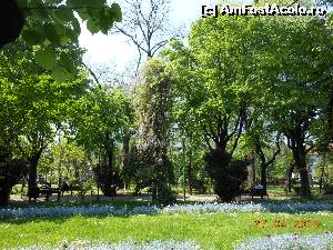 [P03] Bucureşti - Parcul Cişmigiu. Primăvara în parc.  » foto by iulianic
 - 
<span class="allrVoted glyphicon glyphicon-heart hidden" id="av613664"></span>
<a class="m-l-10 hidden" id="sv613664" onclick="voting_Foto_DelVot(,613664,11447)" role="button">șterge vot <span class="glyphicon glyphicon-remove"></span></a>
<a id="v9613664" class=" c-red"  onclick="voting_Foto_SetVot(613664)" role="button"><span class="glyphicon glyphicon-heart-empty"></span> <b>LIKE</b> = Votează poza</a> <img class="hidden"  id="f613664W9" src="/imagini/loader.gif" border="0" /><span class="AjErrMes hidden" id="e613664ErM"></span>