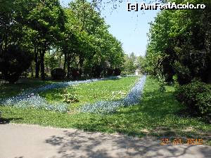 [P37] Bucureşti - Parcul Cişmigiu. Covorul verde.  » foto by iulianic
 - 
<span class="allrVoted glyphicon glyphicon-heart hidden" id="av613717"></span>
<a class="m-l-10 hidden" id="sv613717" onclick="voting_Foto_DelVot(,613717,11447)" role="button">șterge vot <span class="glyphicon glyphicon-remove"></span></a>
<a id="v9613717" class=" c-red"  onclick="voting_Foto_SetVot(613717)" role="button"><span class="glyphicon glyphicon-heart-empty"></span> <b>LIKE</b> = Votează poza</a> <img class="hidden"  id="f613717W9" src="/imagini/loader.gif" border="0" /><span class="AjErrMes hidden" id="e613717ErM"></span>