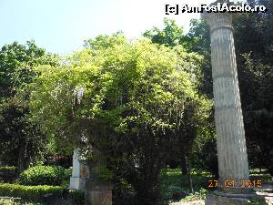[P44] Bucureşti - Parcul Cişmigiu. Coloanele din Rondul Roman sau Rotonda scriitorilor.  » foto by iulianic
 - 
<span class="allrVoted glyphicon glyphicon-heart hidden" id="av613727"></span>
<a class="m-l-10 hidden" id="sv613727" onclick="voting_Foto_DelVot(,613727,11447)" role="button">șterge vot <span class="glyphicon glyphicon-remove"></span></a>
<a id="v9613727" class=" c-red"  onclick="voting_Foto_SetVot(613727)" role="button"><span class="glyphicon glyphicon-heart-empty"></span> <b>LIKE</b> = Votează poza</a> <img class="hidden"  id="f613727W9" src="/imagini/loader.gif" border="0" /><span class="AjErrMes hidden" id="e613727ErM"></span>