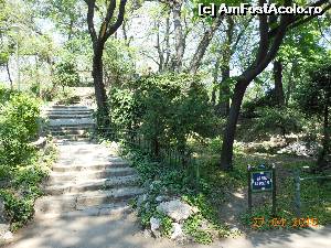 [P46] Bucureşti - Parcul Cişmigiu. Pe Aleea Cascadei.  » foto by iulianic
 - 
<span class="allrVoted glyphicon glyphicon-heart hidden" id="av613730"></span>
<a class="m-l-10 hidden" id="sv613730" onclick="voting_Foto_DelVot(,613730,11447)" role="button">șterge vot <span class="glyphicon glyphicon-remove"></span></a>
<a id="v9613730" class=" c-red"  onclick="voting_Foto_SetVot(613730)" role="button"><span class="glyphicon glyphicon-heart-empty"></span> <b>LIKE</b> = Votează poza</a> <img class="hidden"  id="f613730W9" src="/imagini/loader.gif" border="0" /><span class="AjErrMes hidden" id="e613730ErM"></span>