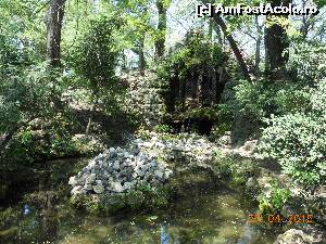 [P47] Bucureşti - Parcul Cişmigiu. Cascada.  » foto by iulianic
 - 
<span class="allrVoted glyphicon glyphicon-heart hidden" id="av613731"></span>
<a class="m-l-10 hidden" id="sv613731" onclick="voting_Foto_DelVot(,613731,11447)" role="button">șterge vot <span class="glyphicon glyphicon-remove"></span></a>
<a id="v9613731" class=" c-red"  onclick="voting_Foto_SetVot(613731)" role="button"><span class="glyphicon glyphicon-heart-empty"></span> <b>LIKE</b> = Votează poza</a> <img class="hidden"  id="f613731W9" src="/imagini/loader.gif" border="0" /><span class="AjErrMes hidden" id="e613731ErM"></span>