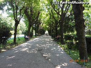 [P05] Bucureşti - Parcul Cişmigiu. Aleea mare mărginită de arbori falnici.  » foto by iulianic
 - 
<span class="allrVoted glyphicon glyphicon-heart hidden" id="av613666"></span>
<a class="m-l-10 hidden" id="sv613666" onclick="voting_Foto_DelVot(,613666,11447)" role="button">șterge vot <span class="glyphicon glyphicon-remove"></span></a>
<a id="v9613666" class=" c-red"  onclick="voting_Foto_SetVot(613666)" role="button"><span class="glyphicon glyphicon-heart-empty"></span> <b>LIKE</b> = Votează poza</a> <img class="hidden"  id="f613666W9" src="/imagini/loader.gif" border="0" /><span class="AjErrMes hidden" id="e613666ErM"></span>