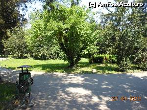 [P50] Bucureşti - Parcul Cişmigiu.  » foto by iulianic
 - 
<span class="allrVoted glyphicon glyphicon-heart hidden" id="av613736"></span>
<a class="m-l-10 hidden" id="sv613736" onclick="voting_Foto_DelVot(,613736,11447)" role="button">șterge vot <span class="glyphicon glyphicon-remove"></span></a>
<a id="v9613736" class=" c-red"  onclick="voting_Foto_SetVot(613736)" role="button"><span class="glyphicon glyphicon-heart-empty"></span> <b>LIKE</b> = Votează poza</a> <img class="hidden"  id="f613736W9" src="/imagini/loader.gif" border="0" /><span class="AjErrMes hidden" id="e613736ErM"></span>