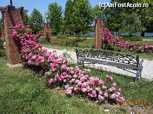 [P02] Parcul Herăstrău - Un loc romantic în Insula Trandafirilor.  » foto by iulianic
 - 
<span class="allrVoted glyphicon glyphicon-heart hidden" id="av625280"></span>
<a class="m-l-10 hidden" id="sv625280" onclick="voting_Foto_DelVot(,625280,11447)" role="button">șterge vot <span class="glyphicon glyphicon-remove"></span></a>
<a id="v9625280" class=" c-red"  onclick="voting_Foto_SetVot(625280)" role="button"><span class="glyphicon glyphicon-heart-empty"></span> <b>LIKE</b> = Votează poza</a> <img class="hidden"  id="f625280W9" src="/imagini/loader.gif" border="0" /><span class="AjErrMes hidden" id="e625280ErM"></span>