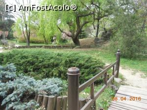 [P17] București - Grădina japoneză din Herăstrău. Vegetație abundentă în aprilie. » foto by iulianic
 - 
<span class="allrVoted glyphicon glyphicon-heart hidden" id="av728473"></span>
<a class="m-l-10 hidden" id="sv728473" onclick="voting_Foto_DelVot(,728473,11447)" role="button">șterge vot <span class="glyphicon glyphicon-remove"></span></a>
<a id="v9728473" class=" c-red"  onclick="voting_Foto_SetVot(728473)" role="button"><span class="glyphicon glyphicon-heart-empty"></span> <b>LIKE</b> = Votează poza</a> <img class="hidden"  id="f728473W9" src="/imagini/loader.gif" border="0" /><span class="AjErrMes hidden" id="e728473ErM"></span>