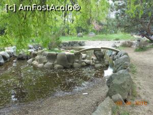 [P24] București - Grădina japoneză din Herăstrău. Un mic lac cu mormoloci. » foto by iulianic
 - 
<span class="allrVoted glyphicon glyphicon-heart hidden" id="av728480"></span>
<a class="m-l-10 hidden" id="sv728480" onclick="voting_Foto_DelVot(,728480,11447)" role="button">șterge vot <span class="glyphicon glyphicon-remove"></span></a>
<a id="v9728480" class=" c-red"  onclick="voting_Foto_SetVot(728480)" role="button"><span class="glyphicon glyphicon-heart-empty"></span> <b>LIKE</b> = Votează poza</a> <img class="hidden"  id="f728480W9" src="/imagini/loader.gif" border="0" /><span class="AjErrMes hidden" id="e728480ErM"></span>