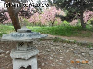 [P26] București - Grădina japoneză din Herăstrău. O lanternă japoneză.  » foto by iulianic
 - 
<span class="allrVoted glyphicon glyphicon-heart hidden" id="av728482"></span>
<a class="m-l-10 hidden" id="sv728482" onclick="voting_Foto_DelVot(,728482,11447)" role="button">șterge vot <span class="glyphicon glyphicon-remove"></span></a>
<a id="v9728482" class=" c-red"  onclick="voting_Foto_SetVot(728482)" role="button"><span class="glyphicon glyphicon-heart-empty"></span> <b>LIKE</b> = Votează poza</a> <img class="hidden"  id="f728482W9" src="/imagini/loader.gif" border="0" /><span class="AjErrMes hidden" id="e728482ErM"></span>