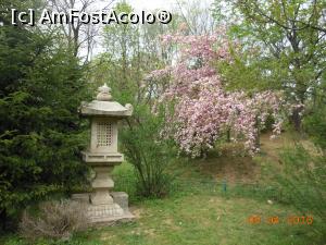 [P36] București - Grădina japoneză din Herăstrău. Un colț de rai.  » foto by iulianic
 - 
<span class="allrVoted glyphicon glyphicon-heart hidden" id="av728492"></span>
<a class="m-l-10 hidden" id="sv728492" onclick="voting_Foto_DelVot(,728492,11447)" role="button">șterge vot <span class="glyphicon glyphicon-remove"></span></a>
<a id="v9728492" class=" c-red"  onclick="voting_Foto_SetVot(728492)" role="button"><span class="glyphicon glyphicon-heart-empty"></span> <b>LIKE</b> = Votează poza</a> <img class="hidden"  id="f728492W9" src="/imagini/loader.gif" border="0" /><span class="AjErrMes hidden" id="e728492ErM"></span>