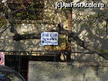 [P11] O placă nouă care acoperă placa mai veche (care conţinea şi citate din lege, cum ar fi amănunte despre amenzi). Tot magnolia de pe Delavrancea.  » foto by abancor
 - 
<span class="allrVoted glyphicon glyphicon-heart hidden" id="av422218"></span>
<a class="m-l-10 hidden" id="sv422218" onclick="voting_Foto_DelVot(,422218,11447)" role="button">șterge vot <span class="glyphicon glyphicon-remove"></span></a>
<a id="v9422218" class=" c-red"  onclick="voting_Foto_SetVot(422218)" role="button"><span class="glyphicon glyphicon-heart-empty"></span> <b>LIKE</b> = Votează poza</a> <img class="hidden"  id="f422218W9" src="/imagini/loader.gif" border="0" /><span class="AjErrMes hidden" id="e422218ErM"></span>