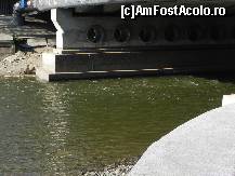 [P14] Rîul Colentina curge dinspre Lacul Băneasa (dinspre 'lighean' cum i se mai zice, adică balta mică din aval de lac) spre Herăstrău, pe sub podul Băneasa (unde s-au dat lupte grele în 24 - 29 august 1944 pentru apărarea capitalei).  » foto by abancor
 - 
<span class="allrVoted glyphicon glyphicon-heart hidden" id="av422224"></span>
<a class="m-l-10 hidden" id="sv422224" onclick="voting_Foto_DelVot(,422224,11447)" role="button">șterge vot <span class="glyphicon glyphicon-remove"></span></a>
<a id="v9422224" class=" c-red"  onclick="voting_Foto_SetVot(422224)" role="button"><span class="glyphicon glyphicon-heart-empty"></span> <b>LIKE</b> = Votează poza</a> <img class="hidden"  id="f422224W9" src="/imagini/loader.gif" border="0" /><span class="AjErrMes hidden" id="e422224ErM"></span>
