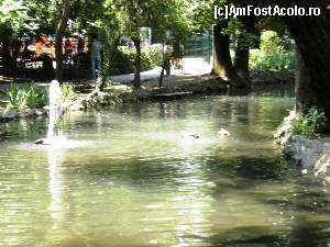 [P02] Prin Parcul Cismigiu.  » foto by melena
 - 
<span class="allrVoted glyphicon glyphicon-heart hidden" id="av640852"></span>
<a class="m-l-10 hidden" id="sv640852" onclick="voting_Foto_DelVot(,640852,11447)" role="button">șterge vot <span class="glyphicon glyphicon-remove"></span></a>
<a id="v9640852" class=" c-red"  onclick="voting_Foto_SetVot(640852)" role="button"><span class="glyphicon glyphicon-heart-empty"></span> <b>LIKE</b> = Votează poza</a> <img class="hidden"  id="f640852W9" src="/imagini/loader.gif" border="0" /><span class="AjErrMes hidden" id="e640852ErM"></span>