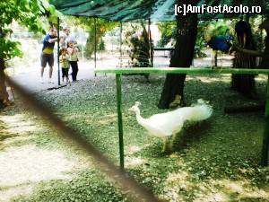 [P21] Prin Parcul Cismigiu.  » foto by melena
 - 
<span class="allrVoted glyphicon glyphicon-heart hidden" id="av640871"></span>
<a class="m-l-10 hidden" id="sv640871" onclick="voting_Foto_DelVot(,640871,11447)" role="button">șterge vot <span class="glyphicon glyphicon-remove"></span></a>
<a id="v9640871" class=" c-red"  onclick="voting_Foto_SetVot(640871)" role="button"><span class="glyphicon glyphicon-heart-empty"></span> <b>LIKE</b> = Votează poza</a> <img class="hidden"  id="f640871W9" src="/imagini/loader.gif" border="0" /><span class="AjErrMes hidden" id="e640871ErM"></span>