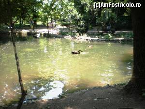 [P06] Prin Parcul Cismigiu.  » foto by melena
 - 
<span class="allrVoted glyphicon glyphicon-heart hidden" id="av640856"></span>
<a class="m-l-10 hidden" id="sv640856" onclick="voting_Foto_DelVot(,640856,11447)" role="button">șterge vot <span class="glyphicon glyphicon-remove"></span></a>
<a id="v9640856" class=" c-red"  onclick="voting_Foto_SetVot(640856)" role="button"><span class="glyphicon glyphicon-heart-empty"></span> <b>LIKE</b> = Votează poza</a> <img class="hidden"  id="f640856W9" src="/imagini/loader.gif" border="0" /><span class="AjErrMes hidden" id="e640856ErM"></span>