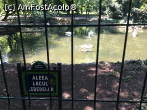 [P43] Parcul Cismigiu - si un titlu sugestiv » foto by mishu
 - 
<span class="allrVoted glyphicon glyphicon-heart hidden" id="av752408"></span>
<a class="m-l-10 hidden" id="sv752408" onclick="voting_Foto_DelVot(,752408,11447)" role="button">șterge vot <span class="glyphicon glyphicon-remove"></span></a>
<a id="v9752408" class=" c-red"  onclick="voting_Foto_SetVot(752408)" role="button"><span class="glyphicon glyphicon-heart-empty"></span> <b>LIKE</b> = Votează poza</a> <img class="hidden"  id="f752408W9" src="/imagini/loader.gif" border="0" /><span class="AjErrMes hidden" id="e752408ErM"></span>