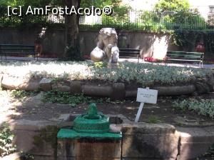 [P45] Parcul Cismigiu - Am vrut sa vad daca beau apa care iese din gura broscoiului daca ma transform si eu in broasca. Am scapat, nu m-am transformat.  » foto by mishu
 - 
<span class="allrVoted glyphicon glyphicon-heart hidden" id="av752410"></span>
<a class="m-l-10 hidden" id="sv752410" onclick="voting_Foto_DelVot(,752410,11447)" role="button">șterge vot <span class="glyphicon glyphicon-remove"></span></a>
<a id="v9752410" class=" c-red"  onclick="voting_Foto_SetVot(752410)" role="button"><span class="glyphicon glyphicon-heart-empty"></span> <b>LIKE</b> = Votează poza</a> <img class="hidden"  id="f752410W9" src="/imagini/loader.gif" border="0" /><span class="AjErrMes hidden" id="e752410ErM"></span>