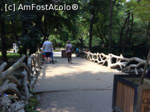 [P54] Parcul Cismigiu - poduri cu 'balustrade' interesante » foto by mishu
 - 
<span class="allrVoted glyphicon glyphicon-heart hidden" id="av752419"></span>
<a class="m-l-10 hidden" id="sv752419" onclick="voting_Foto_DelVot(,752419,11447)" role="button">șterge vot <span class="glyphicon glyphicon-remove"></span></a>
<a id="v9752419" class=" c-red"  onclick="voting_Foto_SetVot(752419)" role="button"><span class="glyphicon glyphicon-heart-empty"></span> <b>LIKE</b> = Votează poza</a> <img class="hidden"  id="f752419W9" src="/imagini/loader.gif" border="0" /><span class="AjErrMes hidden" id="e752419ErM"></span>
